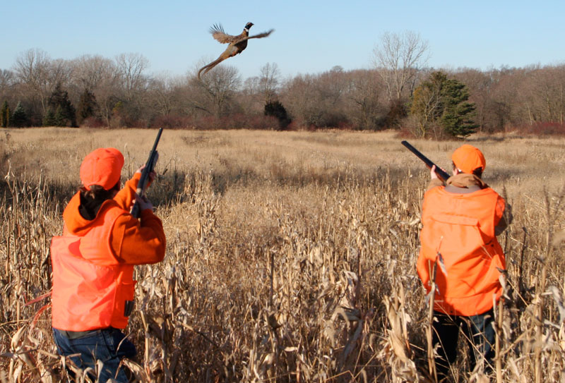 Pin Pheasant-hunting on Pinterest