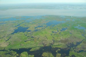 A NAWCA grant for Louisiana’s Liner’s Canal will benefit hundreds of acres of fresh and intermediate marsh. Louisiana has the highest rate of coastal wetland or marsh loss in North America.