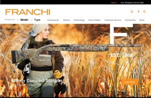 New_Franchi_Website