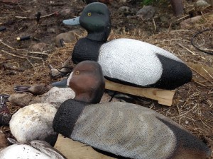 All new, Series 72 from Autumn Wings Decoys