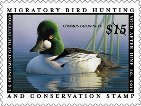 The price of the federal duck stamp has been raised only seven times in the program's history.