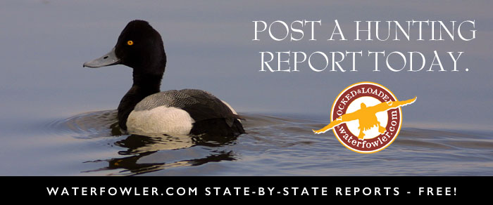How do you get waterfowl hunting reports?